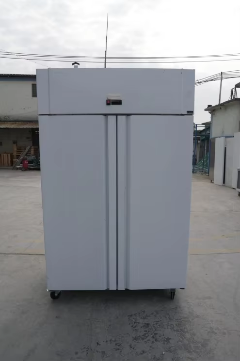 Congelador Industrial de Frío Negativo 1230 Litros para Hostelería | 2 Puertas GN 2/1 GN1480BT2