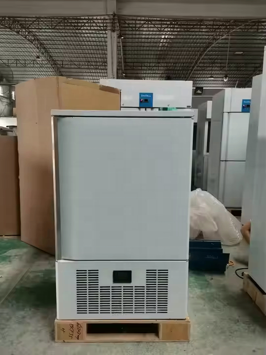 Abatidor de Temperatura Industrial Reforzado 110 Litros para Panadería y Hostelería | Digital BCF25R